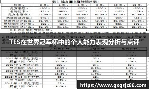 TES在世界冠军杯中的个人能力表现分析与点评